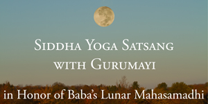 Satsang Gallery 2014