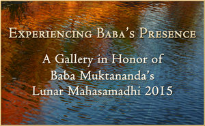 Baba Gallery 2015