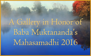 A Gallery in Honor of Baba Muktanandaâs Mahasamadhi 2016