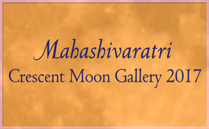 Crescent Moon Photos