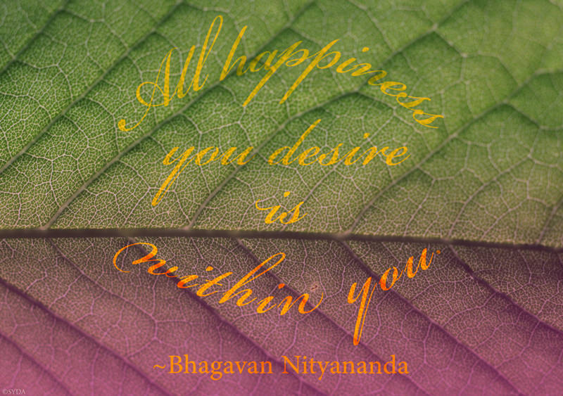 Teaching 4 by Bhagavan Nityananda
