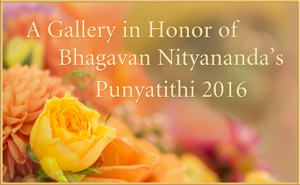 A Gallery in Honor of Bhagavan Nityanandaâs Punyatithi 2016