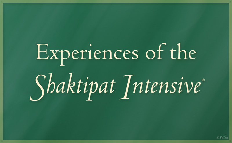 Experiences of the Shaktipat Intensive