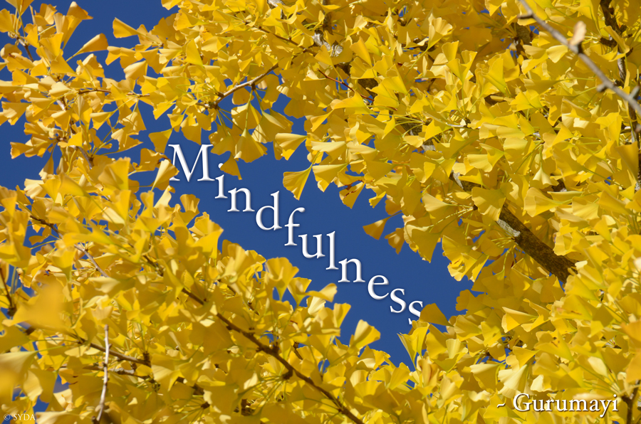 Mindfulness