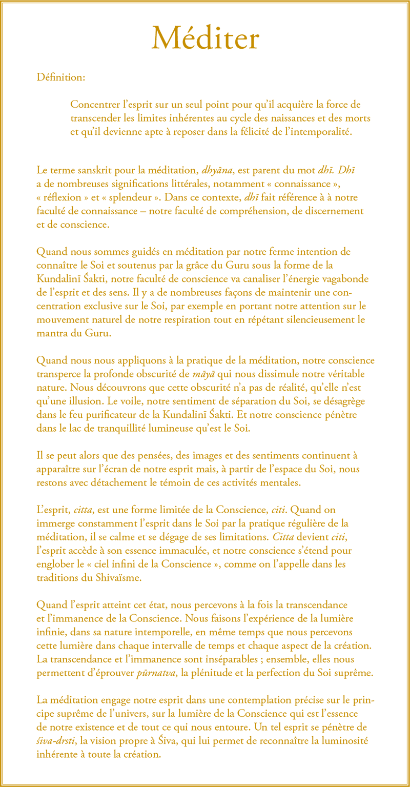 Gurumayi's Message for 2015: Meditate - French