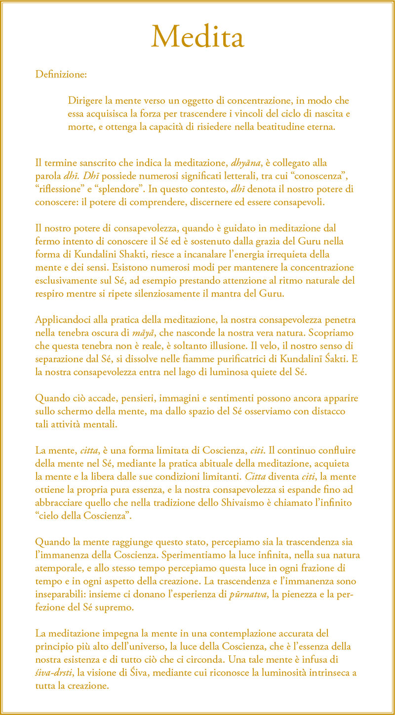 Gurumayi's Message for 2015: Meditate - Italian