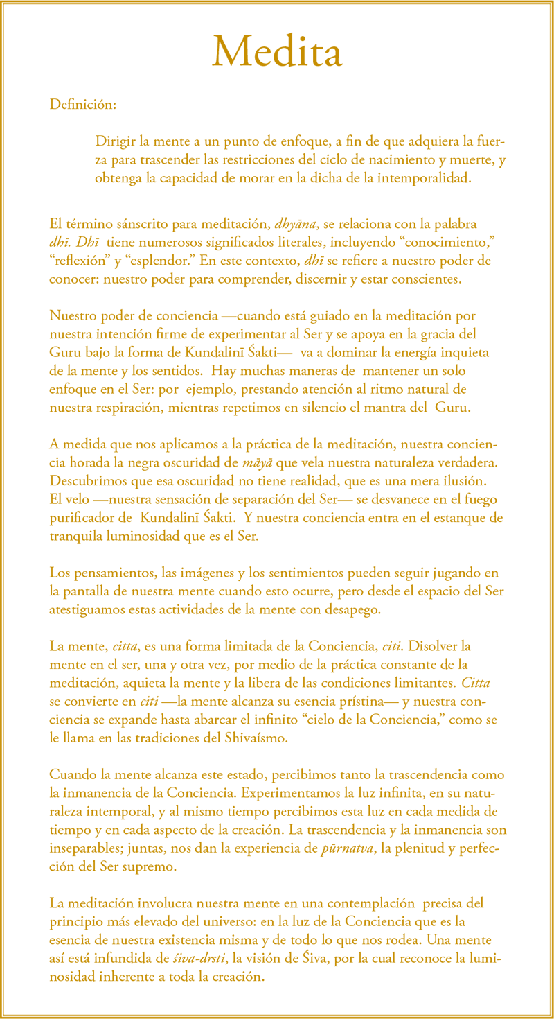 Gurumayi's Message for 2015: Meditate - Spanish
