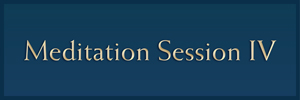 Session IV