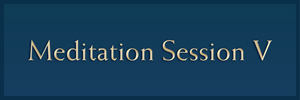 Session V