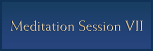 Session VII