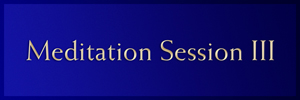 Session III