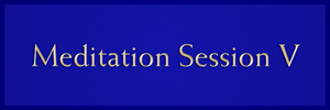 Session V