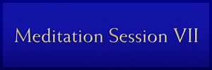 Session VII