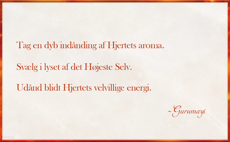 Gurumayi's Message for 2017 - Danish