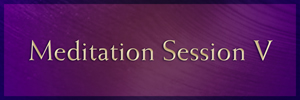Meditation Session V