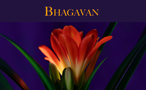 Bhagavan