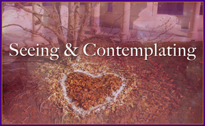 Seeing and Contemplating
