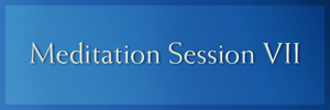 2020 Meditation Session VII