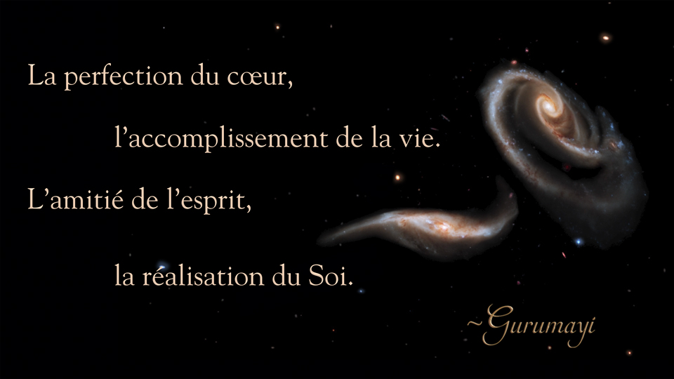 Gurumayi's Message for 2020 - French