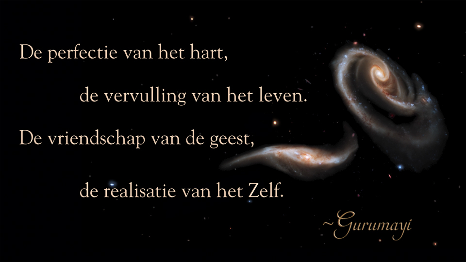 Gurumayi's Message for 2020 - Dutch