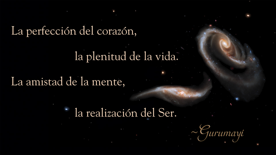 Gurumayi's Message for 2020 - Spanish