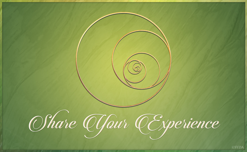 Experiences of the Workshops 2024