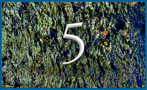 teaching 5
