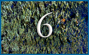 teaching 6