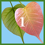 Intention 1