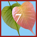 Intention 7