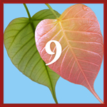 Intention 9