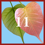 Intention 11