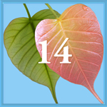 Intention 14