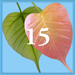 Intention 15