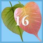 Intention 16