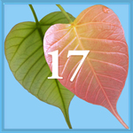 Intention 17