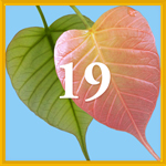 Intention 19