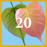 Intention 20