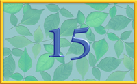 teaching 15
