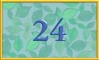 teaching 24