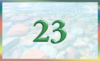 teaching 23