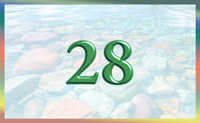 teaching 28