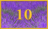teaching 10