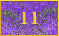 teaching 11