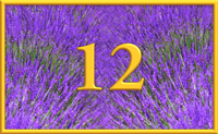 teaching 12