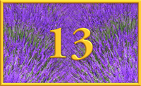 teaching 13