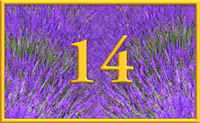 teaching 14