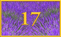 teaching 17