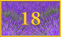 teaching 18