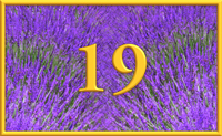 teaching 19